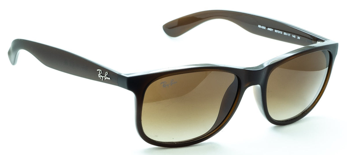 RAYBAN RAY BAN RB 4202 6073/13 3N Andy 55mm Sunglasses Shades Eyewear - New